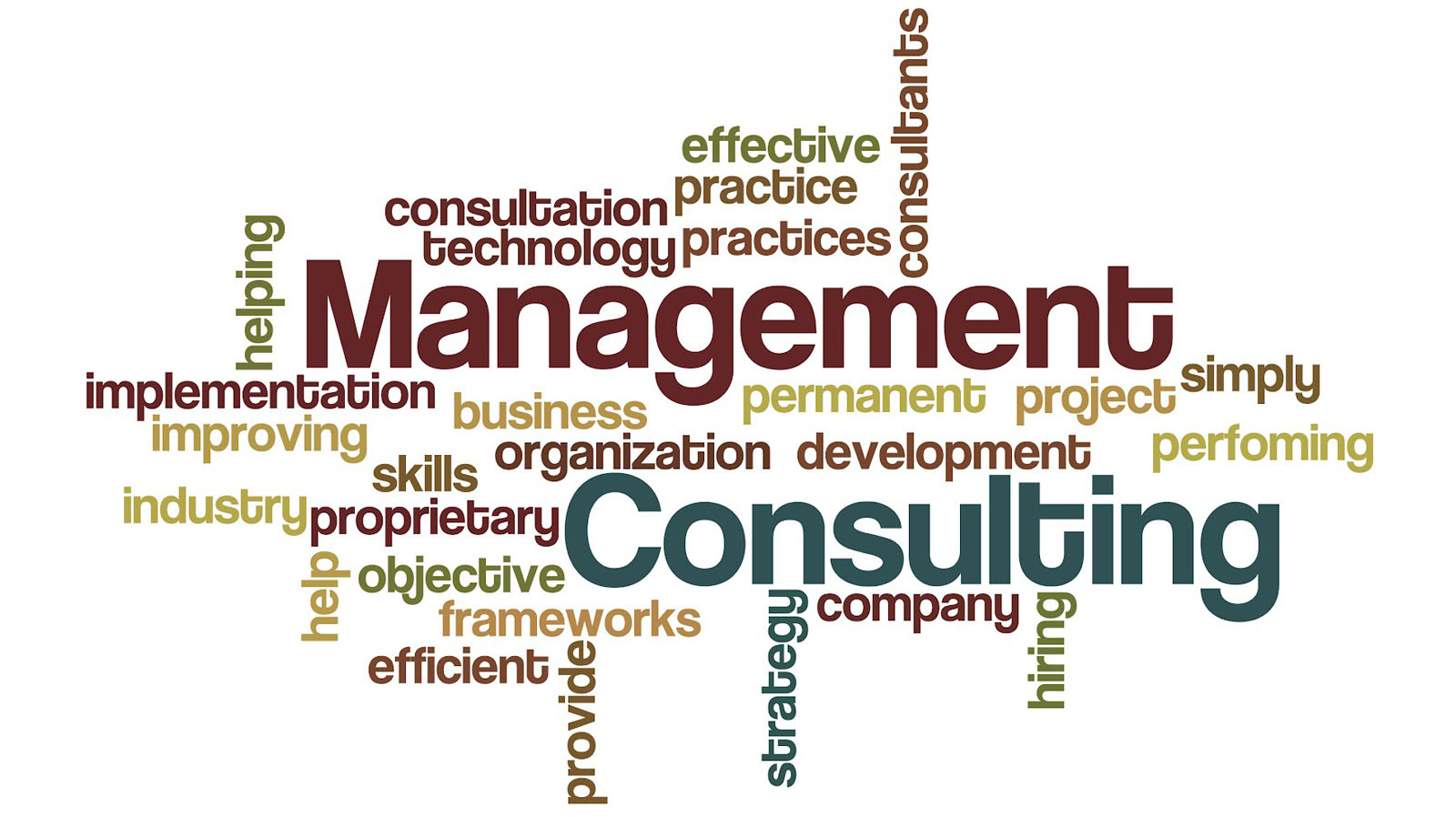 Management Consulting Services \u2013 PPM Savvy